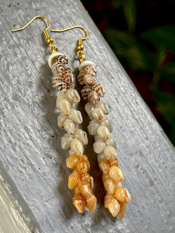 MM SALE! VERY RARE SHELLS! NIIHAU SHELL EARRING