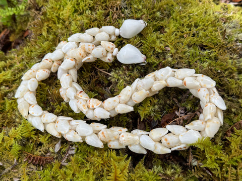 MM SALE! NIIHAU ALILE’A LEI (29”)