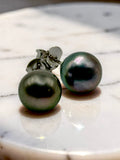 TAHITIAN PEARL STUDS (8-9MM)