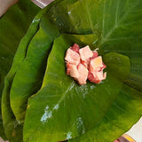 2027 Kuana Hawaii Keawe Workshop Weekend COMPLETE SUMMER PACKAGE